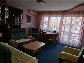 Deluxe apartment, on the first floor of the family house